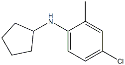 4-chloro-N-cyclopentyl-2-methylaniline Struktur