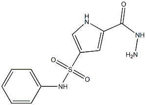 5-(hydrazinocarbonyl)-N-phenyl-1H-pyrrole-3-sulfonamide Struktur