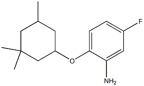 5-fluoro-2-[(3,3,5-trimethylcyclohexyl)oxy]aniline Struktur