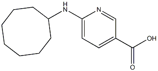 6-(cyclooctylamino)pyridine-3-carboxylic acid Struktur