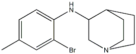 N-(2-bromo-4-methylphenyl)-1-azabicyclo[2.2.2]octan-3-amine Struktur