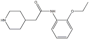 N-(2-ethoxyphenyl)-2-piperidin-4-ylacetamide Struktur