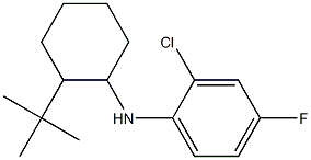 N-(2-tert-butylcyclohexyl)-2-chloro-4-fluoroaniline Struktur