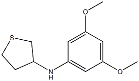 N-(3,5-dimethoxyphenyl)thiolan-3-amine Struktur