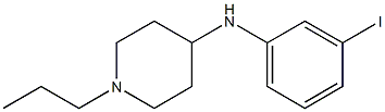 N-(3-iodophenyl)-1-propylpiperidin-4-amine Struktur