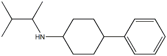 N-(3-methylbutan-2-yl)-4-phenylcyclohexan-1-amine Struktur