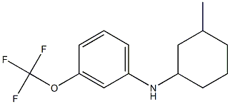 N-(3-methylcyclohexyl)-3-(trifluoromethoxy)aniline Struktur