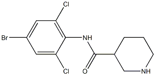 N-(4-bromo-2,6-dichlorophenyl)piperidine-3-carboxamide Struktur