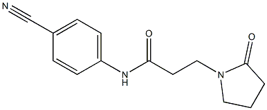 N-(4-cyanophenyl)-3-(2-oxopyrrolidin-1-yl)propanamide Struktur