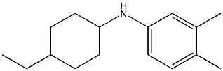 N-(4-ethylcyclohexyl)-3,4-dimethylaniline Struktur