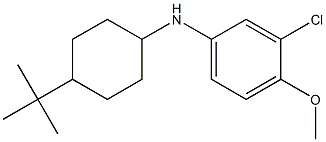 N-(4-tert-butylcyclohexyl)-3-chloro-4-methoxyaniline Struktur