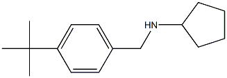 N-[(4-tert-butylphenyl)methyl]cyclopentanamine Struktur