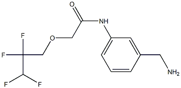 N-[3-(aminomethyl)phenyl]-2-(2,2,3,3-tetrafluoropropoxy)acetamide Struktur