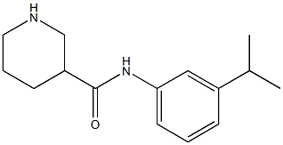 N-[3-(propan-2-yl)phenyl]piperidine-3-carboxamide Struktur