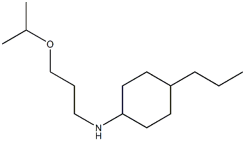 N-[3-(propan-2-yloxy)propyl]-4-propylcyclohexan-1-amine Struktur