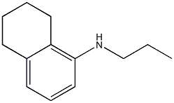 N-propyl-5,6,7,8-tetrahydronaphthalen-1-amine Struktur