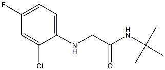 N-tert-butyl-2-[(2-chloro-4-fluorophenyl)amino]acetamide Struktur