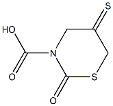 2-oxo-5-thioxo-1,3-thiazinane-3-carboxylic acid Struktur