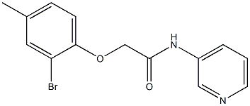 2-(2-bromo-4-methylphenoxy)-N-(3-pyridinyl)acetamide Struktur