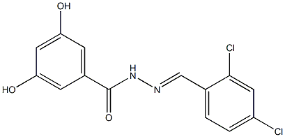 N'-[(E)-(2,4-dichlorophenyl)methylidene]-3,5-dihydroxybenzohydrazide Struktur