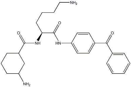 4-(N2-[(3-Aminocyclohexyl)carbonyl]-L-lysylamino)benzophenone Struktur