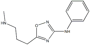 3-(Phenylamino)-5-[3-(methylamino)propyl]-1,2,4-oxadiazole Struktur