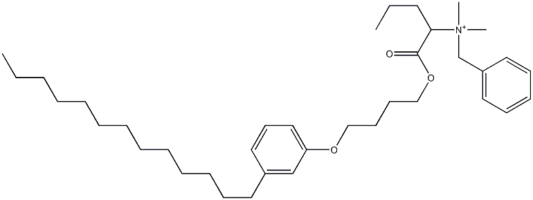 N,N-Dimethyl-N-benzyl-N-[1-[[4-(3-tridecylphenyloxy)butyl]oxycarbonyl]butyl]aminium Struktur