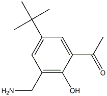 3'-Aminomethyl-5'-tert-butyl-2'-hydroxyacetophenone Struktur