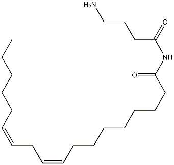 (9Z,12Z)-N-(4-Aminobutyryl)-9,12-octadecadienamide Struktur