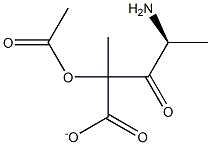 acetyl-alanyl-lactate Struktur