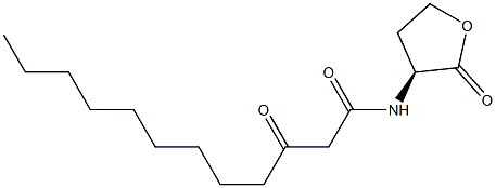 N-(3-oxododecanoyl)homoserine lactone Struktur