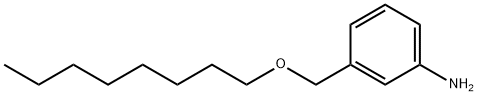 3-[(octyloxy)methyl]aniline Struktur