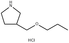 3-(Propoxymethyl)pyrrolidine hydrochloride Struktur