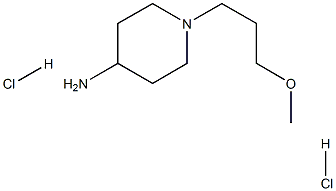 4-AMINO-1-(3-METHOXYPROPYL)PIPERIDINE 2HCL Struktur