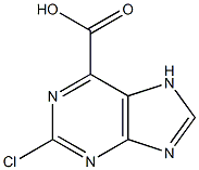 2-chloro-7H-purine-6-carboxylic acid Struktur