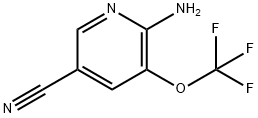 6-AMINO-5-(TRIFLUOROMETHOXY)PYRIDINE-3-CARBONITRILE Struktur