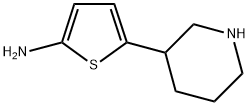 5-(PIPERIDIN-3-YL)THIOPHEN-2-AMINE Struktur