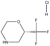 (2S)-2-(trifluoromethyl)morpholine hydrochloride Struktur