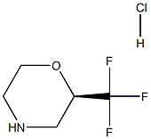 (2R)-2-(trifluoromethyl)morpholine hydrochloride, 1394909-70-6, 結(jié)構(gòu)式