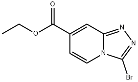  化學(xué)構(gòu)造式