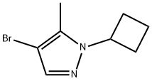 4-Bromo-5-methyl-1-cyclobutyl-1H-pyrazole Struktur