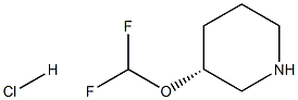 (R)-3-(difluoromethoxy)piperidine hydrochloride Struktur