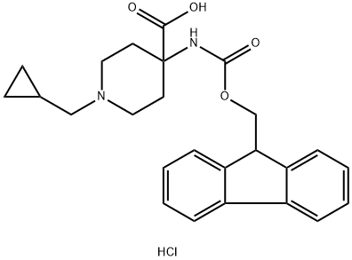 1-cyclopropylmethyl-4-(9h-fluoren-9-ylmethoxycarbonylamino)-piperidine-4-carboxylic acid hydrochloride Struktur