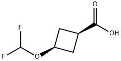 cis-3-(Difluoromethoxy)cyclobutanecarboxylic acid Struktur