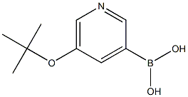 (5-(tert-butoxy)pyridin-3-yl)boronic acid, 2096330-88-8, 結(jié)構(gòu)式