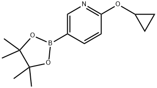 2-cyclopropoxy-5-(4,4,5,5-tetramethyl-1,3,2-dioxaborolan-2-yl)pyridine Struktur