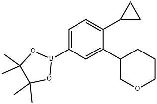 2-(4-cyclopropyl-3-(tetrahydro-2H-pyran-3-yl)phenyl)-4,4,5,5-tetramethyl-1,3,2-dioxaborolane Struktur