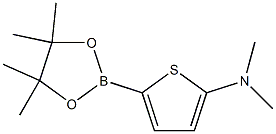 5-(Dimethylamino)thiophene-2-boronic acid pinacol ester Struktur