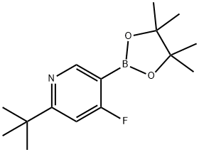 2-(tert-butyl)-4-fluoro-5-(4,4,5,5-tetramethyl-1,3,2-dioxaborolan-2-yl)pyridine Struktur