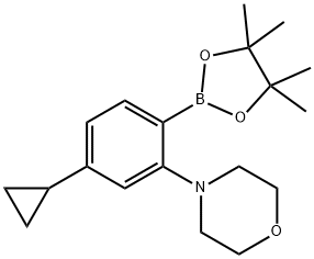 4-(5-cyclopropyl-2-(4,4,5,5-tetramethyl-1,3,2-dioxaborolan-2-yl)phenyl)morpholine Struktur